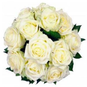 12 Weiße Rosen